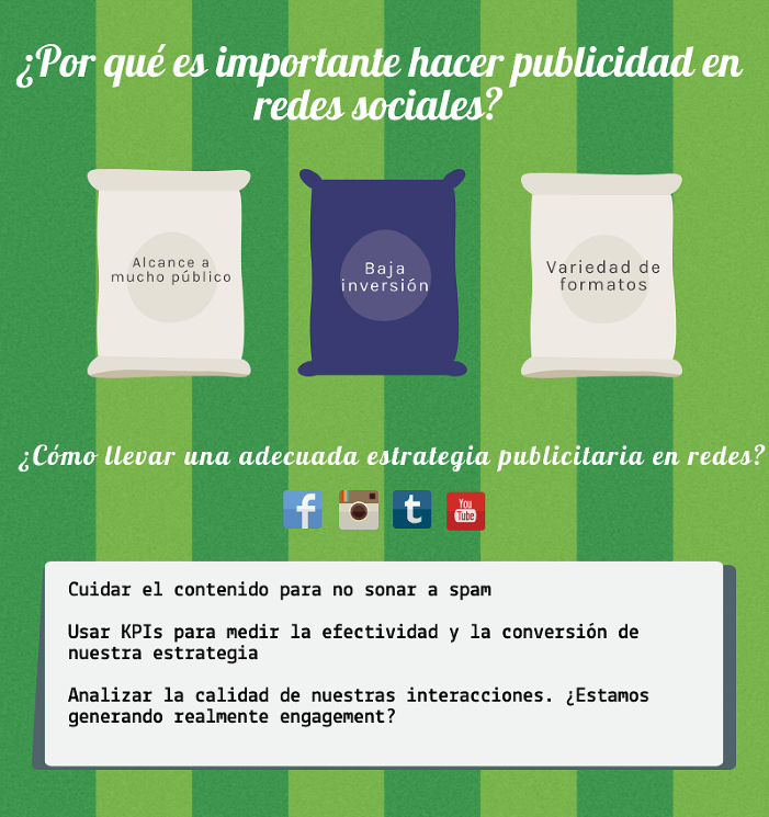 Infografía, por qué es importante hacer publicidad en Redes Sociales